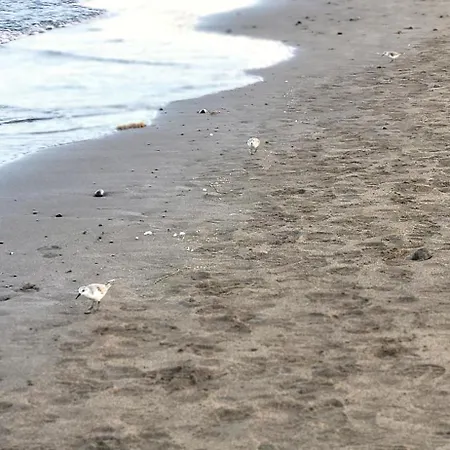 Sunnypalms Casa Mar 22 *