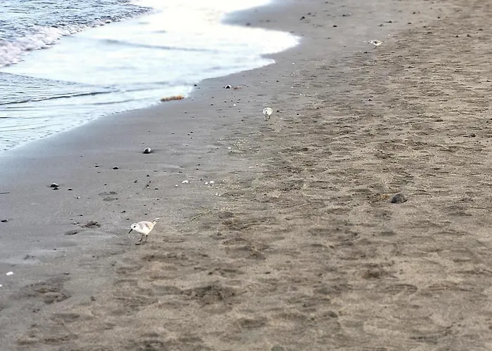 Sunnypalms Casa Mar 22 *