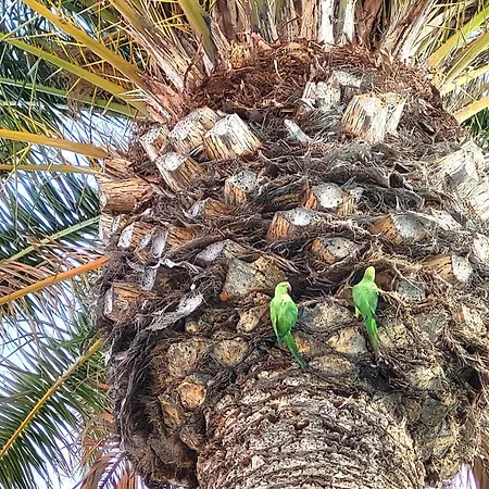 Sunnypalms Casa Mar 22 Dom wakacyjny Playa del Inglés
