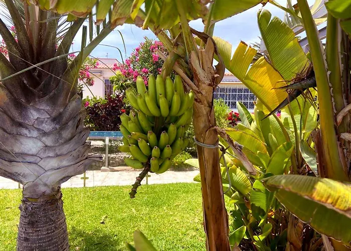 Sunnypalms Casa Mar 22 Semesterbostad Playa del Inglés