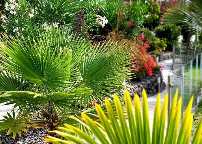 Sunnypalms Casa Mar 22 플라야 델 잉글스