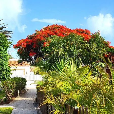 Sunnypalms Casa Mar 22 Πλάγια ντελ Ινγκλές