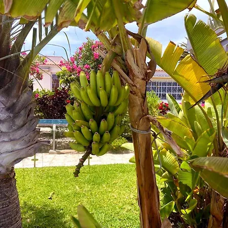 Sunnypalms Casa Mar 22 Hébergement de vacances Playa del Inglés