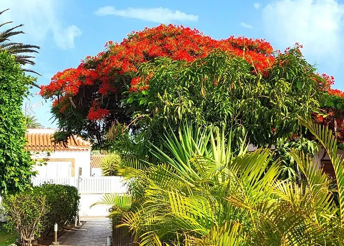 Sunnypalms Casa Mar 22 普拉亚戴尔雷安格莱斯